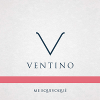 Me Equivoqué (Single)