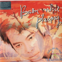 Buồn Như Phượng