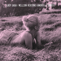 Million Reasons (Andrelli Remix) (Single)