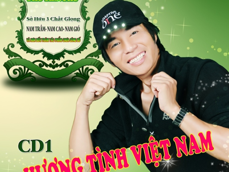 Hương Tình Việt Nam