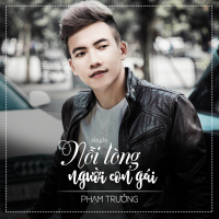 Nỗi Lòng Người Con Gái (Single)