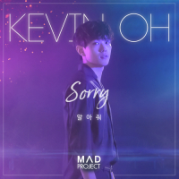 Sorry (Single)