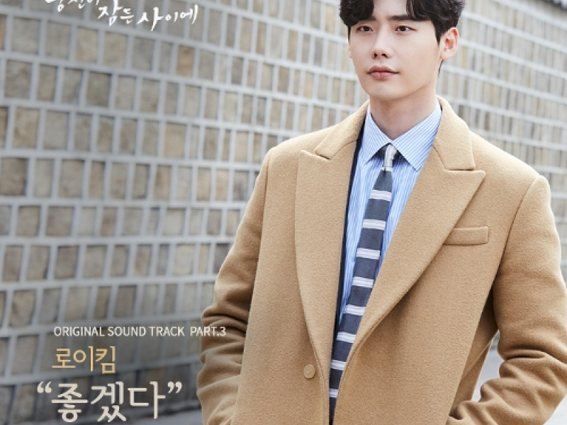 While You Were Sleeping OST Part.3