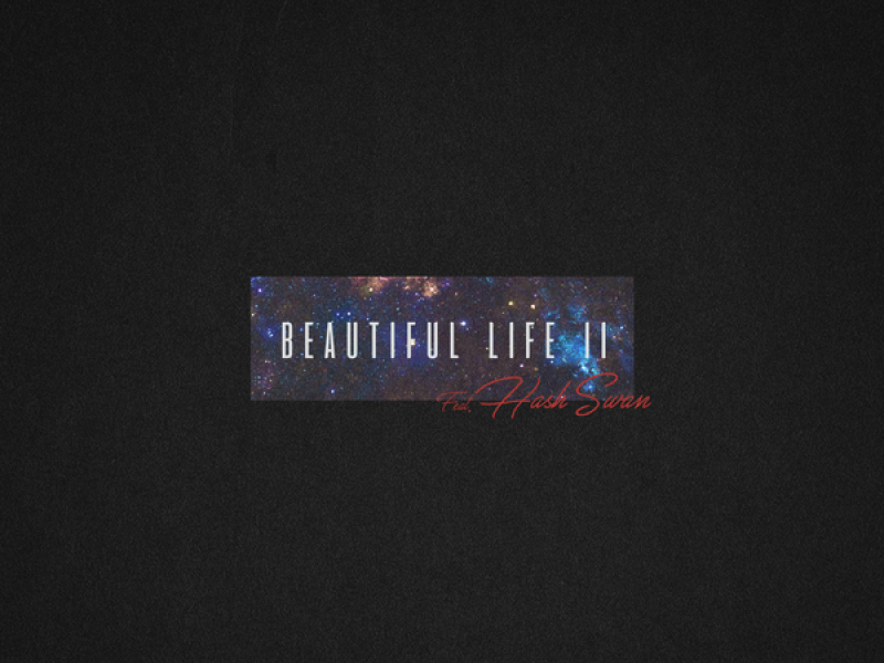 Beautiful Life II