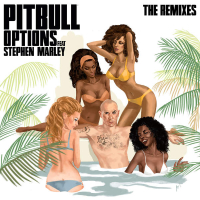 Pitbull (The Remixes)