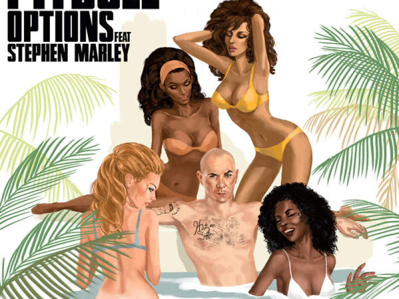 Pitbull (The Remixes)