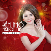 Đêm Nhớ Người Tình