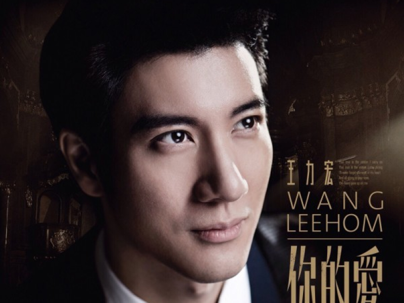 你的爱 / Your Love / Tình Yêu Của Em