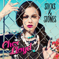 Sticks & Stones (US Edition)