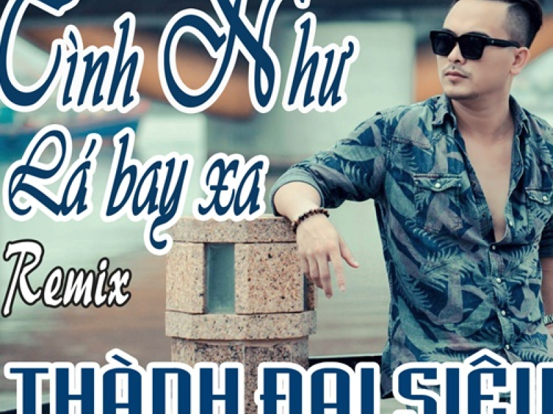 Tình Như Lá Bay Xa (DJ Phơ Nguyễn Mix) (Single)