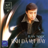 Tình Đã Vụt Bay