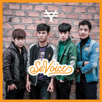 SeVoice