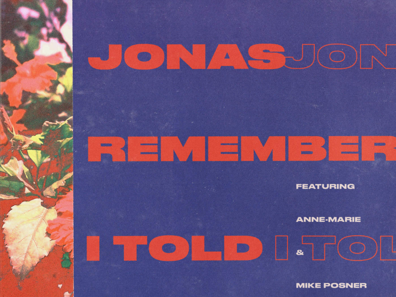 Remember I Told You (Single)