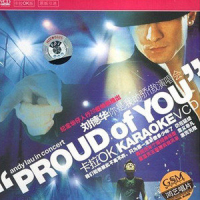 你是我的骄傲 (Disc 2) / Proud Of You