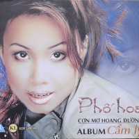 Phố Hoa - Cơn Mơ Hoang Đường