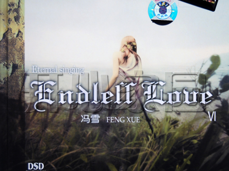 Eternal Singing Endless Love VI