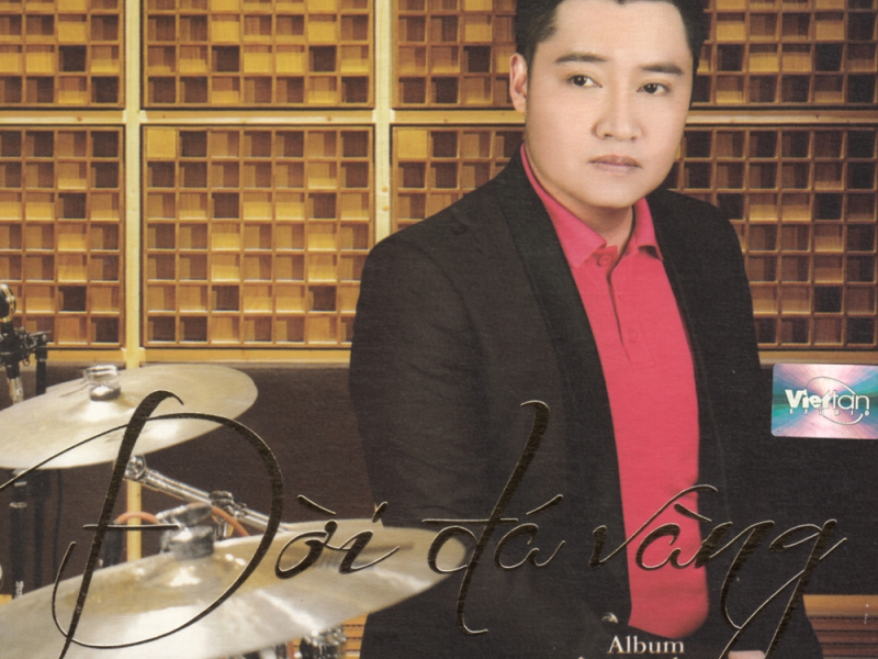 Đời Đá Vàng (Tình Khúc Vũ Thành An)