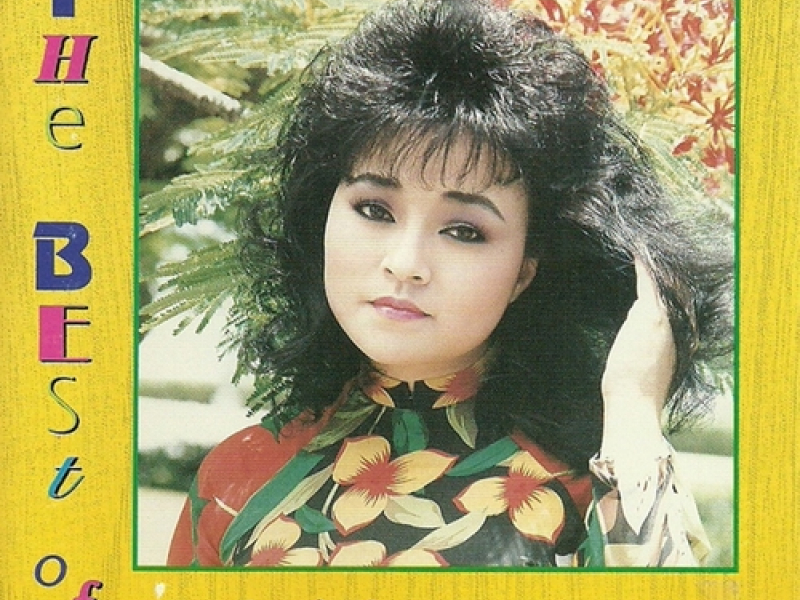 Khi Đã Yêu (TNCD002)