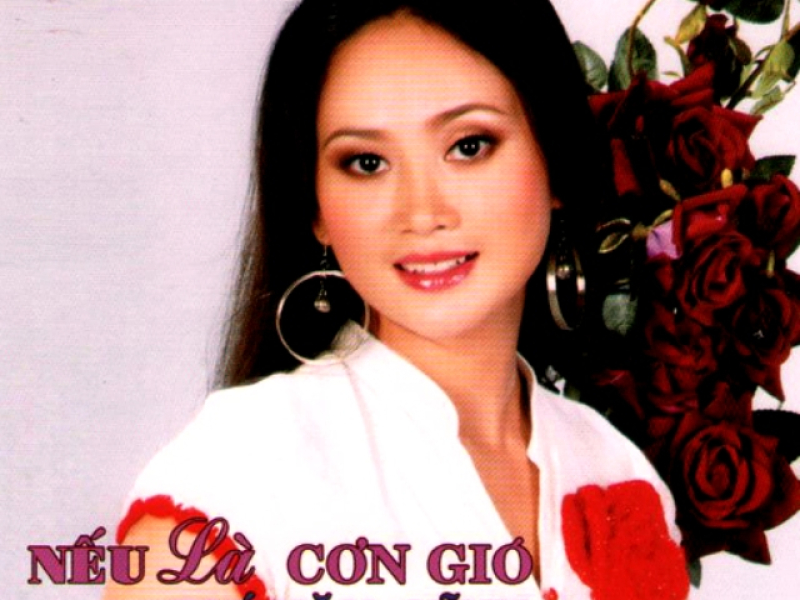 Nếu Là Cơn Gió