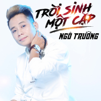 Trời Sinh Một Cặp