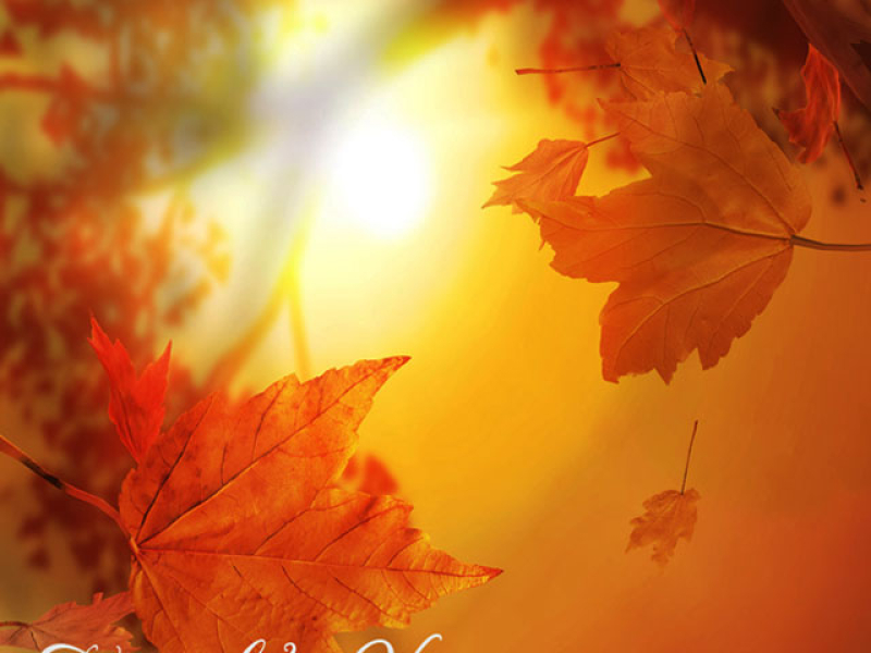 Tuyệt Phẩm Vàng Vol 4