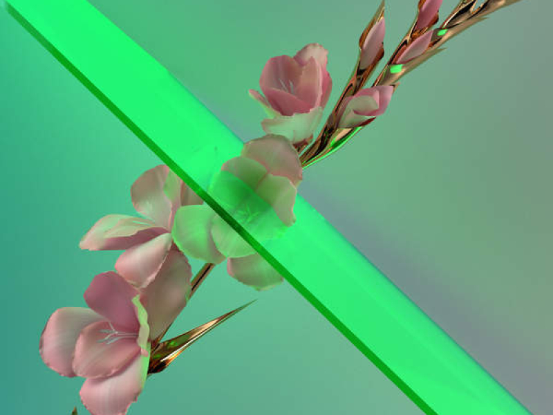 Never Be Like You (Remixes)