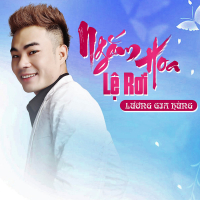 Ngắm Hoa Lệ Rơi (Single)