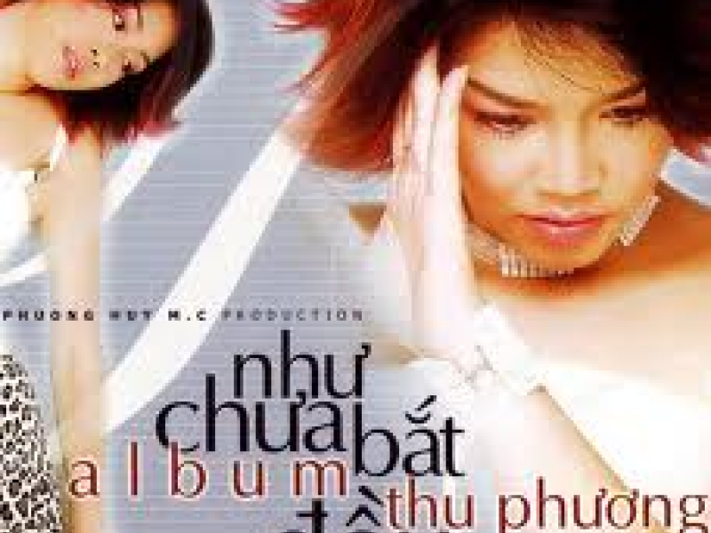 Như Chưa Bắt Đầu