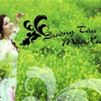 Đường Tàu Mùa Xuân