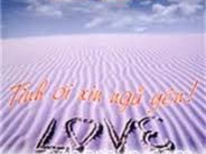 Tình Ơi Xin Ngủ Yên