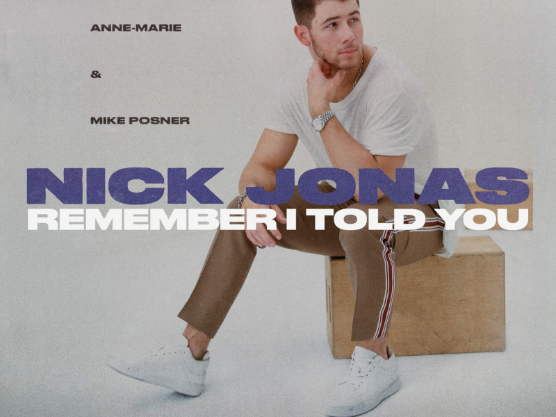 Remember I Told You (Dave Audé Remix) (Single)