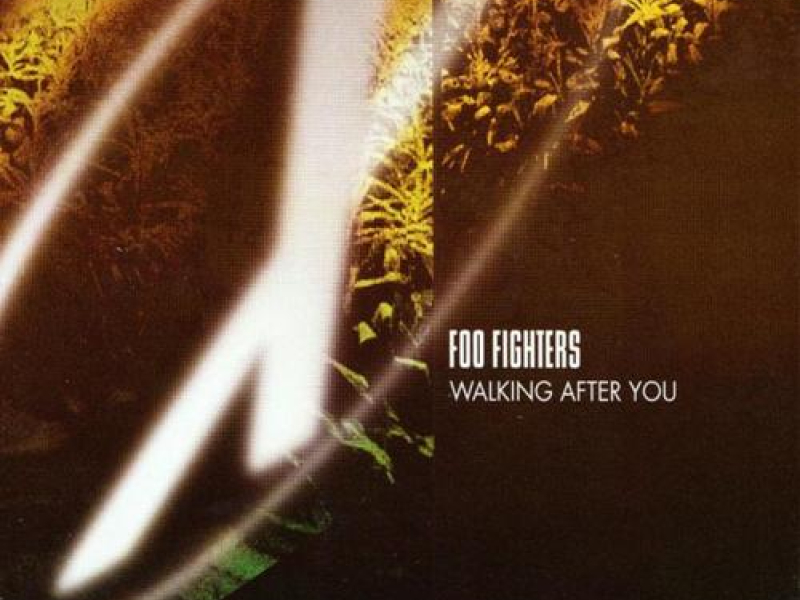 Walking After You (German CD Single)