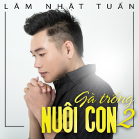 Gà Trống Nuôi Con 2