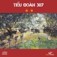 Tiểu Đoàn 307