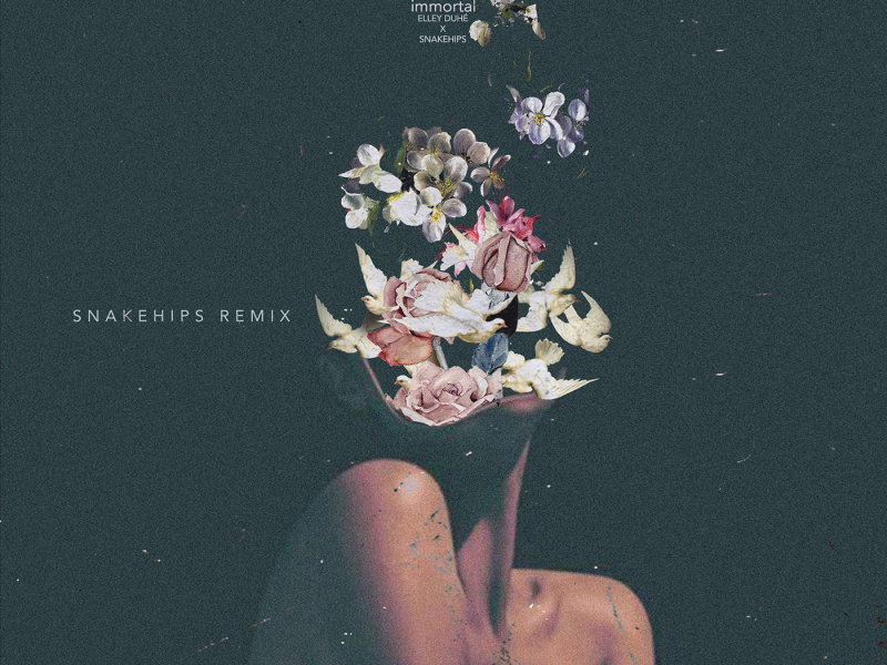 Immortal (Snakehips Remix) (Single)