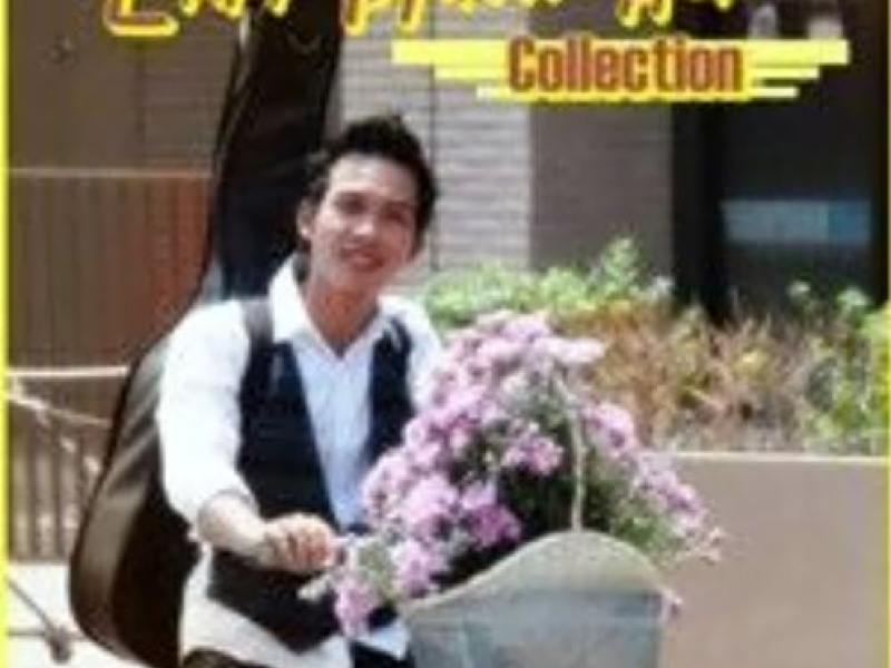 Lâm Minh Huy Collection