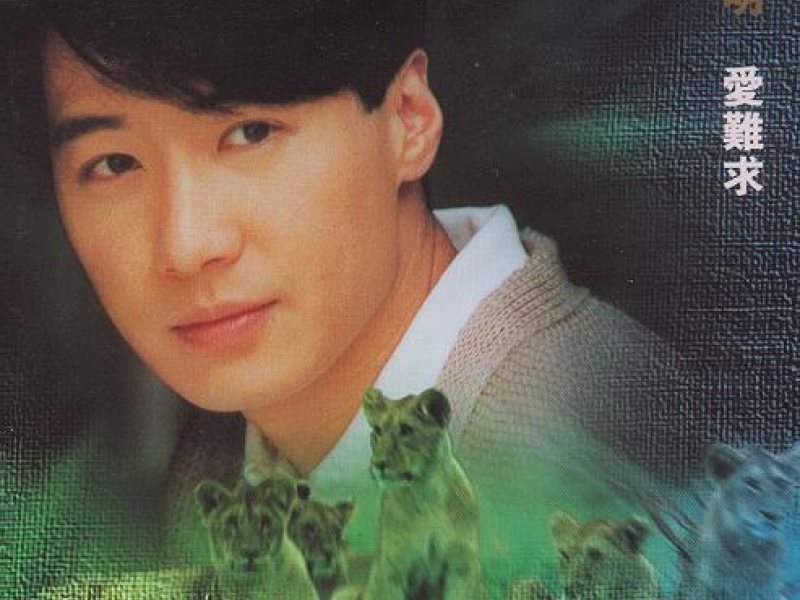 爱难求 / Tình Nan Cầu