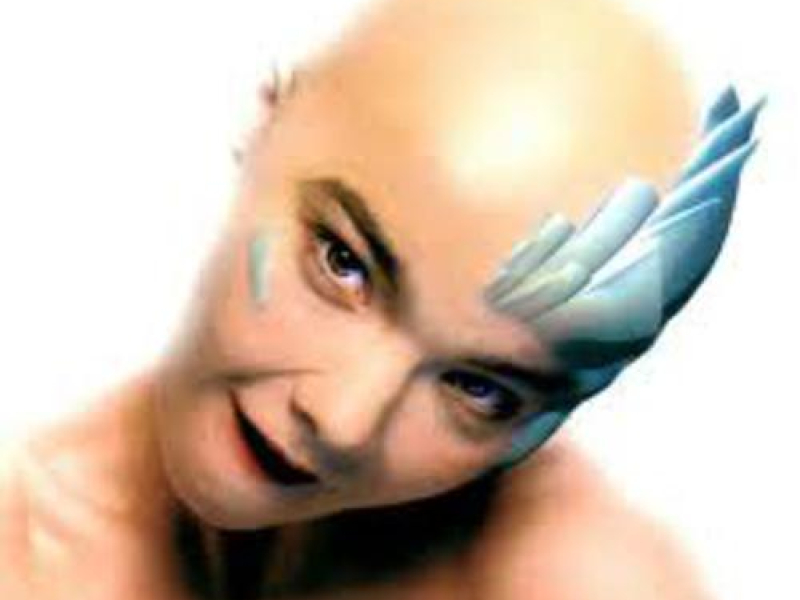 Hunter (UK Box Set) (CD3)