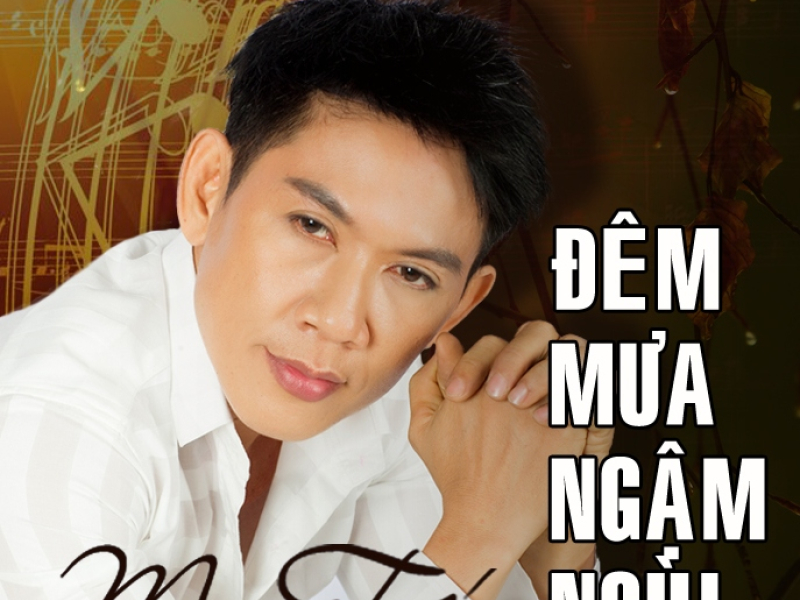 Đêm Mưa Ngậm Ngùi