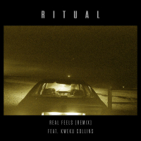 Real Feels (R I T U A L Remix) (Single)