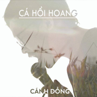Cánh Đồng (Single)