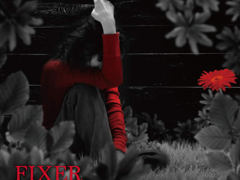 Fixer -While The Women Are Sleeping-