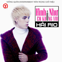 Hình Như Em Không Vui