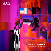 Good Vibes (Radio Edit) (Single)