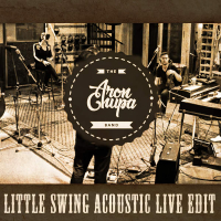 Little Swing (Acoustic Live Edit) (Single)