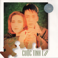 Cuộc Tình Lỡ (Những Tình Khúc Ngọc Trọng - Mai Nguyễn)