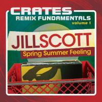 Crates Remix Fundamentals Vol 1