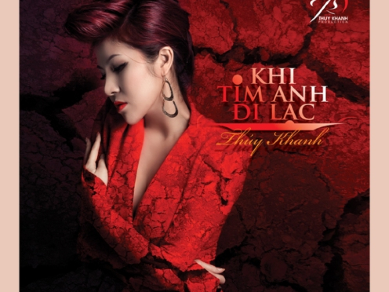 Khi Tim Anh Đi Lạc (Single)