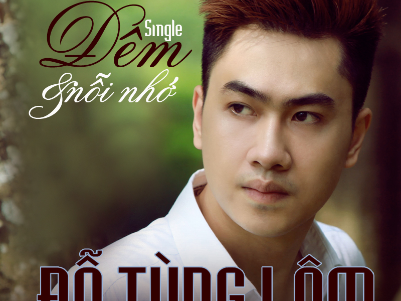 Đêm Và Nỗi Nhớ (Single)