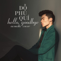 Hello Goodbye Acoustic Cover